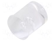 Fiber for LED; Ø5mm; L: 6.9mm; round; straight MASZCZYK
