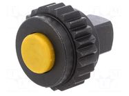 Torque wrench head; 40÷200Nm; Mounting: 1/2" PROXXON