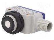 Sensor: ultrasonic; angular; Range: 40÷300mm; Usup: 10÷30VDC; PBT Micro Detectors