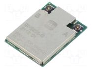 Module: IoT; Bluetooth: 5.0; 16dBm; WiFi; SMD; 16x12x1.7mm H&D Wireless