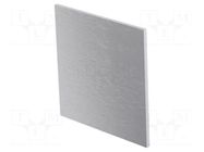 Front panel; for enclosures; aluminium ITALTRONIC