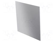 Front panel; for enclosures; aluminium ITALTRONIC