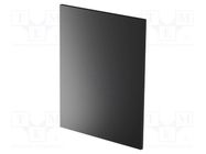 Rear panel; Panel colour: black; UL94V-0; Panel mat: PVC ITALTRONIC