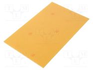 Board: universal; without copper; W: 100mm; L: 160mm; Thk: 1.6mm RADEMACHER