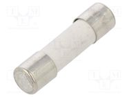 Fuse: fuse; time-lag; 125mA; 250VAC; ceramic,cylindrical; 5x20mm ESKA