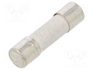 Fuse: fuse; time-lag; 200mA; 250VAC; ceramic,cylindrical; 5x20mm ESKA