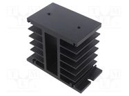 Heatsink: extruded; H; black; L: 100mm; W: 49mm; H: 91mm; aluminium RELPOL