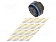 Connector: military; plug; female; PIN: 79; Series I LJT; straight AMPHENOL