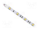 LED tape; white warm; 5050; 24V; LED/m: 30; 10mm; white PCB; IP20 IPIXEL LED
