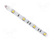 LED tape; white cold; 5050; LED/m: 30; 10mm; white PCB; IP20; 120° IPIXEL LED