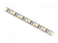 LED tape; white warm; 5050; LED/m: 60; 10mm; white PCB; IP20; 120° IPIXEL LED