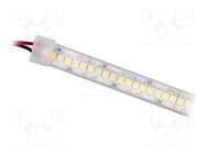 LED tape; white warm; 2835; 24V; LED/m: 120; 10mm; white PCB; IP65 IPIXEL LED