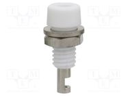 Connector: 2mm banana; socket; 10A; white; on panel,screw 