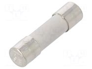 Fuse: fuse; 250mA; 250VAC; time-lag; ceramic,cylindrical; 5x20mm ESKA