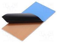 Laminate; FR4,epoxy resin; 1.6mm; L: 50mm; W: 100mm; double sided RADEMACHER