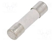 Fuse: fuse; time-lag; 6.3A; 250VAC; ceramic,cylindrical; 5x20mm ESKA