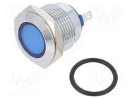 Indicator: LED; flat; blue; 24VDC; 24VAC; Ø16mm; brass; Body: silver NINIGI