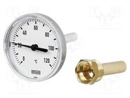 Meter: temperature; analogue,bimetal; 0÷60°C; Probe l: 100mm; A43 WIKA