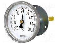 Meter: temperature; analogue,bimetal; 0÷80°C; Probe l: 100mm; A48 WIKA