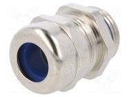 Cable gland; NPT3/4"; IP68; brass; metallic; SKINTOP® LAPP