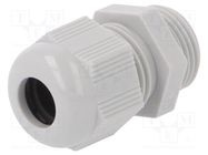 Cable gland; PG11; IP68; polyamide; light grey PHOENIX CONTACT