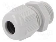 Cable gland; PG11; IP68; polyamide; light grey 