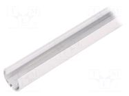 Profiles for LED modules; white; L: 2m; PEN12; aluminium; oval TOPMET