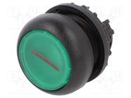 Switch: push-button; 22mm; Stabl.pos: 1; green; M22-FLED,M22-LED 