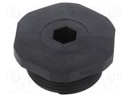 Stopper; PG21; IP54; polyamide; black; V-NE PG; Thread: PG; -20÷80°C HUMMEL