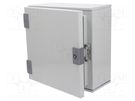 Enclosure: wall mounting; X: 300mm; Y: 300mm; Z: 160mm; orion+; steel HAGER