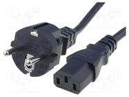 Cable; 3x1mm2; CEE 7/7 (E/F) plug,IEC C13 female; PVC; 2.5m; 10A SCHURTER