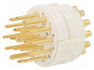 Connector: M23; contact insert; PIN: 19(3+16); male; soldering HUMMEL