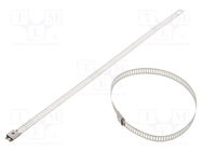 Cable tie; L: 250mm; W: 7mm; acid resistant steel AISI 316; 445N RAYCHEM RPG