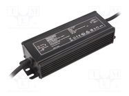 Power supply: switching; LED; 100W; 43÷143VDC; 700mA; 100÷240VAC TRIDONIC