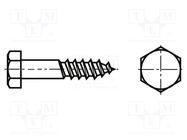 Screw; for wood; 12x260; Head: hexagonal; none; 19mm; steel; zinc BOSSARD
