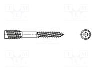 Screw; for wood; 4.5x100; Head: without head; hex key; HEX 4mm BOSSARD