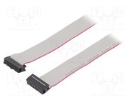 Ribbon cable with IDC connectors; Cable ph: 1.27mm; 0.6m CONNFLY