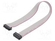 Ribbon cable with IDC connectors; Cable ph: 1.27mm; 0.3m CONNFLY