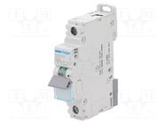 Circuit breaker; 230/400VAC; Inom: 32A; Poles: 1; Charact: C; 10kA HAGER