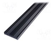 Heatsink: extruded; grilled; black; L: 1000mm; W: 105mm; H: 19mm SEIFERT ELECTRONIC