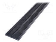 Heatsink: extruded; grilled; black; L: 1000mm; W: 88.7mm; H: 10.85mm SEIFERT ELECTRONIC