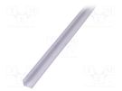 Profiles for LED modules; white; L: 2m; WALLE12; aluminium TOPMET