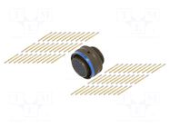 Connector: military; plug; female; PIN: 66; Series I LJT; straight AMPHENOL