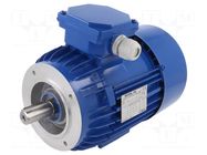 Motor: AC; 3-phase; 0.75kW; 230/400VAC; 2890rpm; IP54; -30÷60°C BESEL