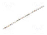 LED tape; white warm; 5050; LED/m: 60; 10mm; white PCB; IP64; 120° IPIXEL LED