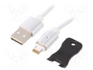 Cable; magnetic,USB 2.0; Apple Lightning plug,USB A plug; 1m GEMBIRD