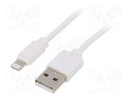 Cable; USB 2.0; Apple Lightning plug,USB A plug; 2m; white; PVC GEMBIRD