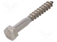 Screw; for wood; 8x60; Head: hexagonal; none; 13mm; DIN 571; BN 704 