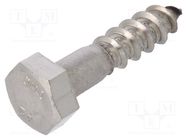 Screw; for wood; 8x35; Head: hexagonal; none; 13mm; DIN 571; BN 704 