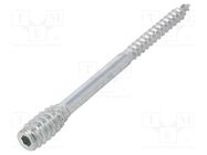 Screw; for wood; 6x100; Head: without head; hex key; HEX 4mm; steel BOSSARD
